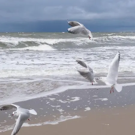 Waterkant 2-42 Direkt Am Meer! 보르게렌데레트비슈